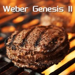 Igniter Kit 66354 For Weber Genesis II E-310, E-315, S-310, S-315, SE-310, SE-315 3 Burner Gas BBQ Grills, Grill Replacement Parts -Cheap Grill Store 03 7166af89 affd 4653 8c45 e38db2959b17