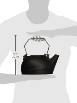 Humidifying Iron Kettle Stove Humidifier, Wood Stove Fireplace Cast Iron Kettle With Chrome Handle -Cheap Grill Store 31zM 4sZMML. AC