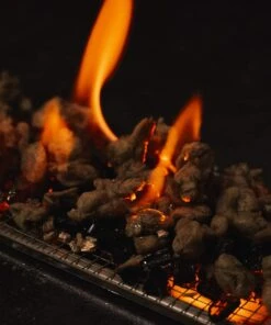 10 Oz. Gas Fireplace Embers Glowing Embers Insert For Vented, Ventless, Propane, Natural Gas Fireplace & Fire Pit -Cheap Grill Store 61oC06lUvJL. AC SL1500