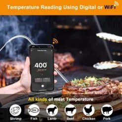 9004190170 Meat Probes Kit Fits Masterbuilt Gravity 560, 800, 1050 Series Digital Charcoal Grill + Smokers, With Grill Clips And Probe Grommet -Cheap Grill Store 71RXCVmy02L. AC SL1500