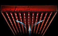 Cooking Grates For Char-Broil 463370919, 463463413, 463371119, 463371119P1, 466335015, 469335115, 463633316 Performance 3 Burner Gas Grills 12 Cooking Grates For Char-Broil 463370919, 463463413, 463371119, 463371119P1, 466335015, 469335115, 463633316 Performance 3 Burner Gas Grills -Cheap Grill Store 71vRWfCOu0L. AC SL1500 169d812e 75da 4b1e a7df 922ce3b8caa2